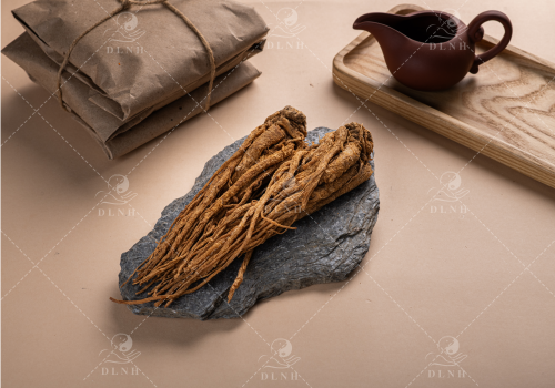 ĐƯƠNG QUY - DƯỢC LIỆU NINH HIỆP