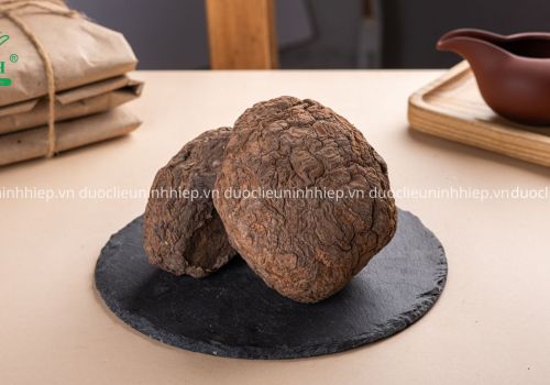 Dược liệu Bạch Linh - Dược Liệu Ninh Hiệp