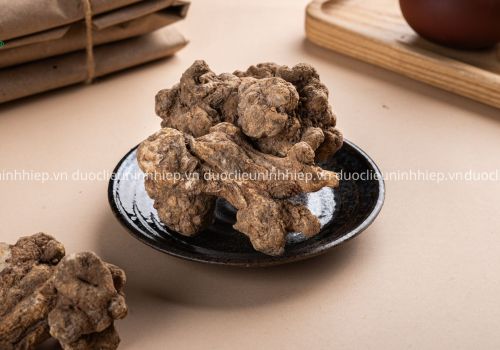 Vị thuốc Bạch truật - Dược liệu Ninh Hiệp