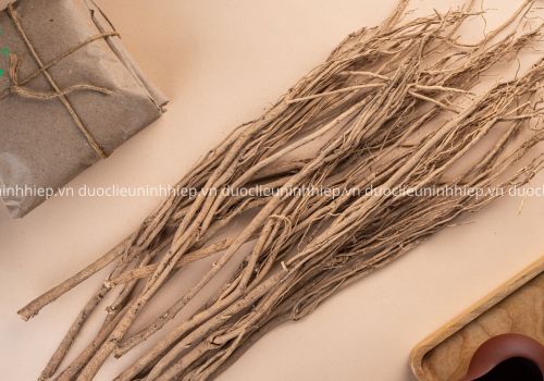 Vị thuốc Hoàng kỳ - Dược liệu Ninh Hiệp