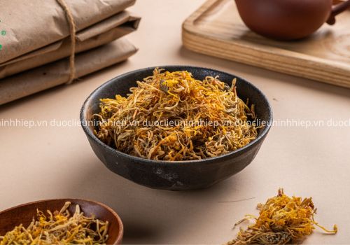 KIM NGÂN HOA - DƯỢC LIỆU NINH HIỆP