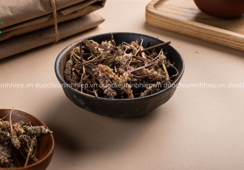 KINH GIỚI - DƯỢC LIỆU NINH HIỆP