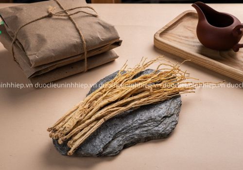 Vị thuốc Đảng sâm - Dược liệu Ninh Hiệp