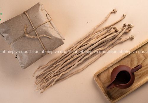 Vị thuốc Ngưu Tất - Dược liệu Ninh Hiệp