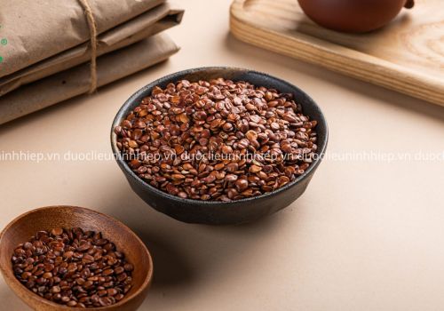 Dược liệu Táo nhân - Dược Liệu Ninh Hiệp