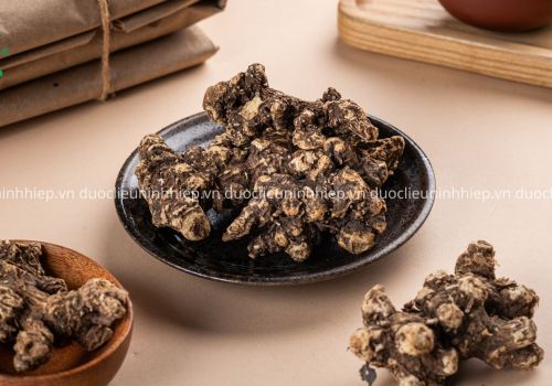 Vị thuốc Thương truật - Dược liệu Ninh Hiệp