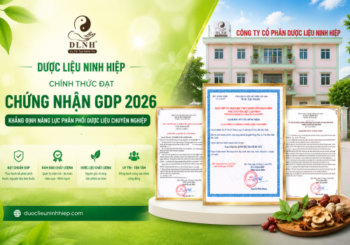 DƯỢC LIỆU NINH HIỆP ĐẠT CHỨNG NHẬN GDP 2026 – KHẲNG ĐỊNH CHẤT LƯỢNG VÀ UY TÍN