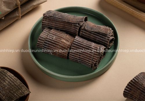 Vị thuốc Đỗ trọng - Dược liệu Ninh Hiệp