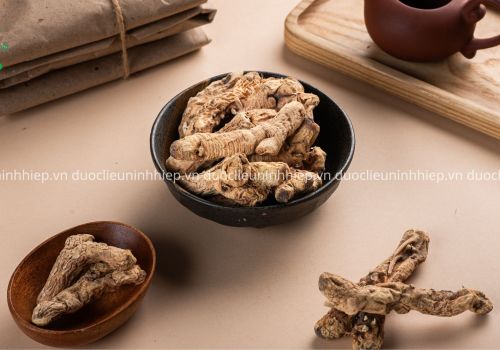 Vị thuốc Tri Mẫu - Dược liệu Ninh Hiệp