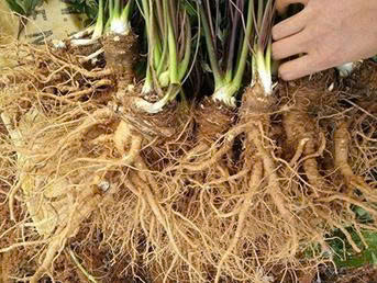 z7711588688737_ab15e2876bed93919bae41e6f8763dc4